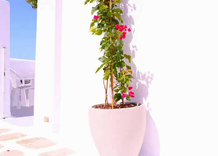 Lemon Tree Maisonette - Paros Naousa (Paros)